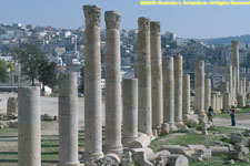 columns