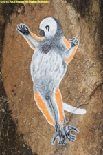 dancing sifaka sign