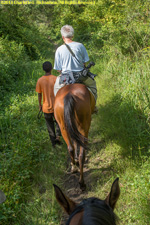 on the trail