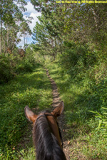 on the trail