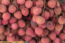 lychees