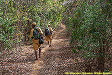 on the trail