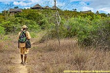 trail to camp