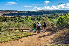 on the trail