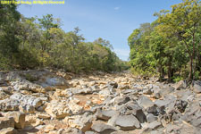 dry riverbed