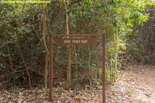 tsingy sign