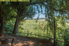 view from dining room