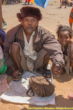 tobacco salesman