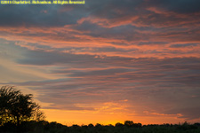 sunset at the river