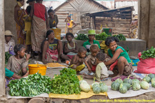 vegetable market