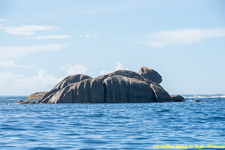 turtle rock