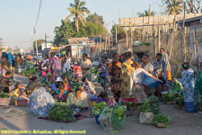 vegetable market