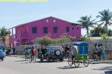 fuschia building