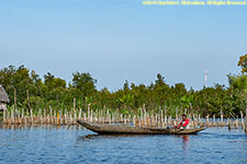 fish traps