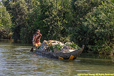 dugout canoe