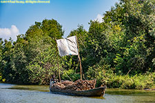 sailing canoe