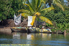 sailing canoes