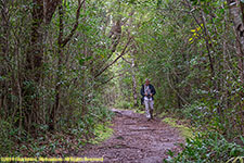 Paul on trail