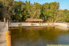 dock and beach