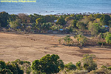 coastal village fields