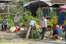 flower market