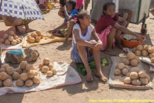 coconut market