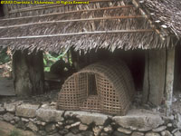 fish trap