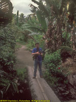 Paul on log bridge