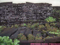 Nan Madol