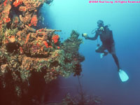 diver and telegraph