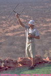 radio-tracking leopards