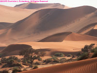 Sossusvlei