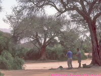 setting up tent