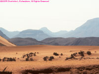 dunes and hills