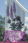 lupine festival banner