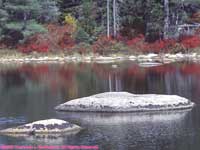 rocks in a pond