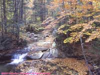 forest waterfall