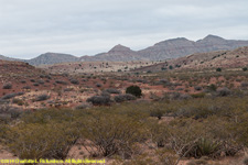 mountains