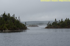 foggy lake