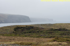 foggy headlands