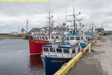 fishing boats