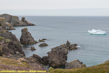 sea stacks and iceberg