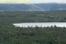 view of pond