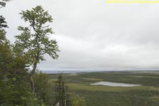 view of pond