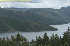 Bonne Bay