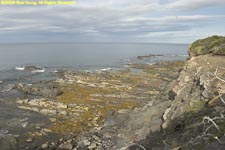 Lobster Cove Head