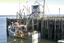 boat and dock, tide going out