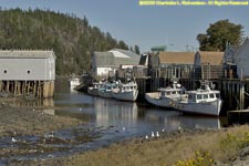 fishing village dock, low tide