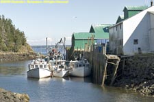 fishing boats at dock