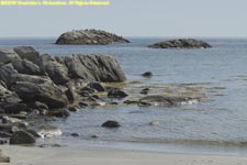 beach and rocks